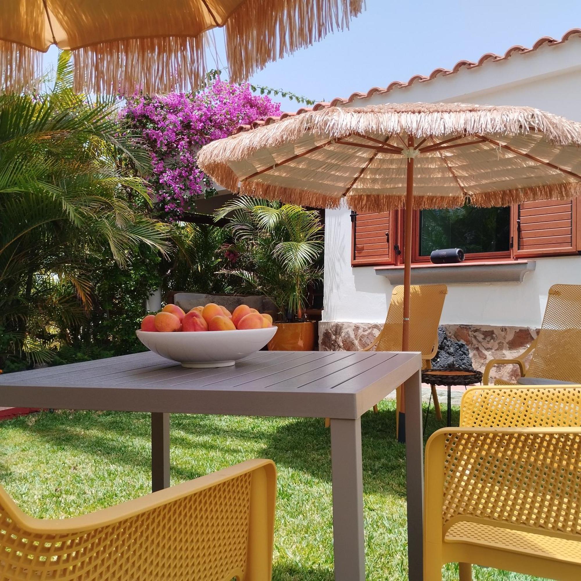 Bungalow Tropical Con Piscina Y Aire Acondicionado 马斯帕洛马斯 外观 照片